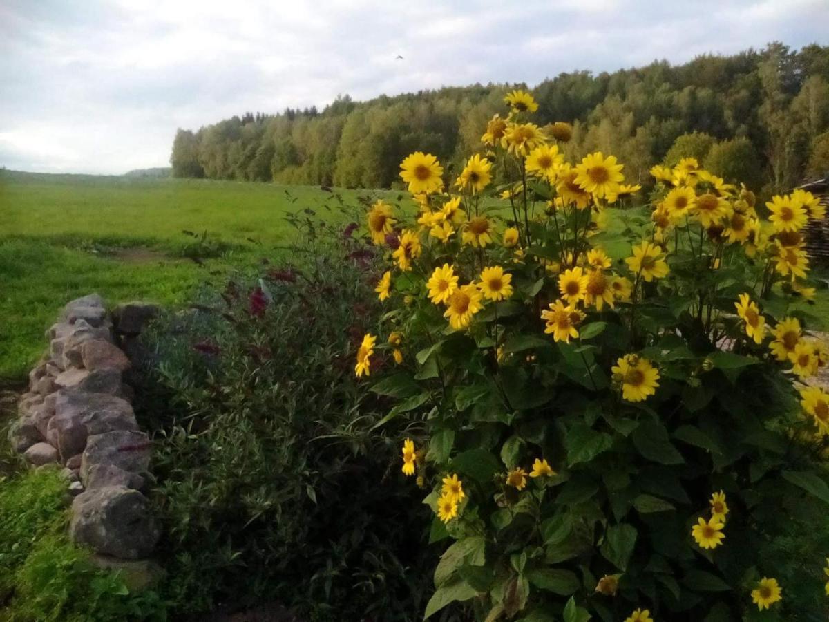 U Tatovy Lipy Appartement Jívka Buitenkant foto